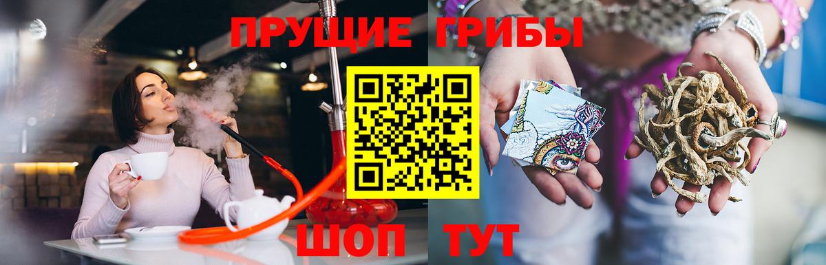 Псилоцибиновые грибы прущие грибы Кинель