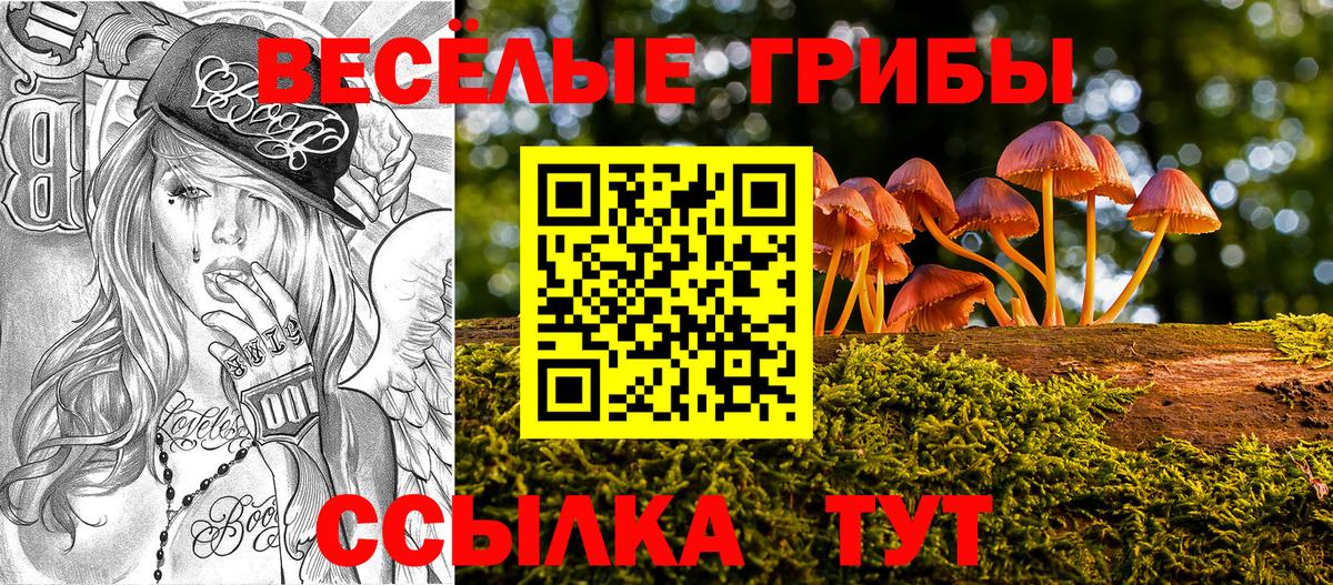 Галлюциногенные грибы мицелий  Псилоцибиновые грибы мицелий  купить наркоту  Кинель  Вход с VPN 